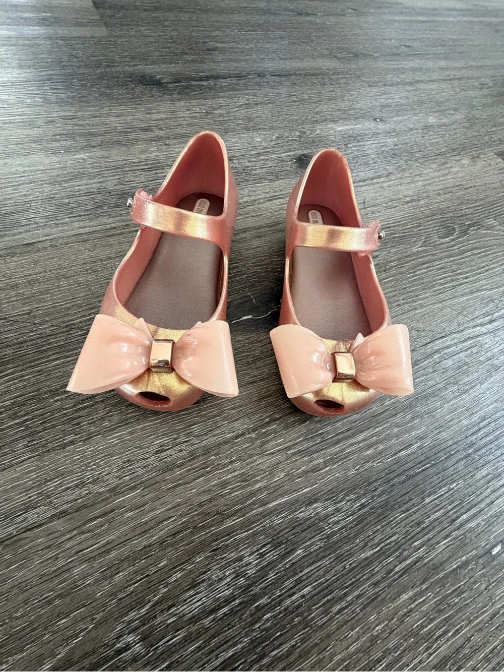 Mini Melissa shiny rose